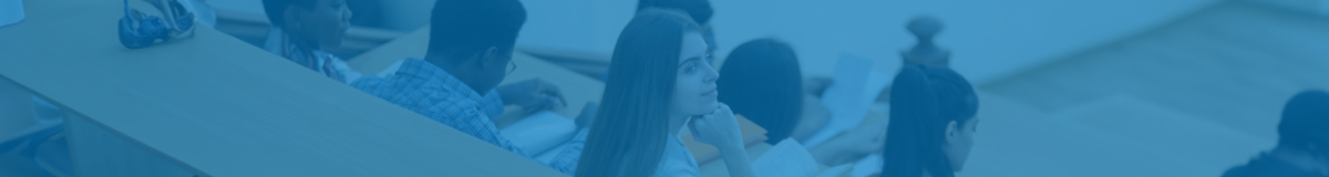 PDI-header.jpg