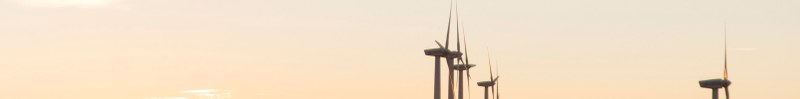 RENE-header5.jpg