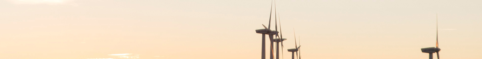 RENE-header5.jpg